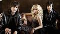 The Band Perry | Peterson Strobe Tuners