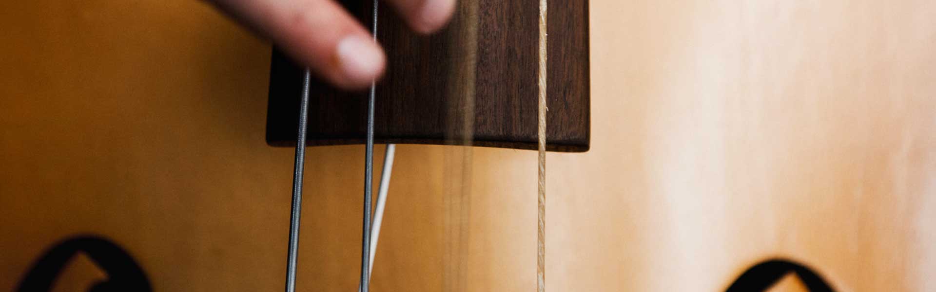 Upright Bass Tuning | Peterson Strobe Tuners