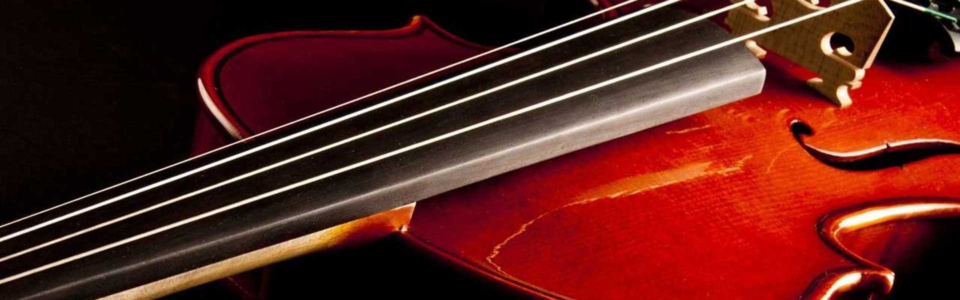 Classical Viola | My Instrument Directory | Peterson Strobe Tuners