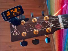 StroboClip HD Review | Tim Lovelock | Peterson Strobe Tuners