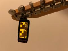 StroboStomp HD Review | Manrico Barbon | Peterson Strobe Tuners